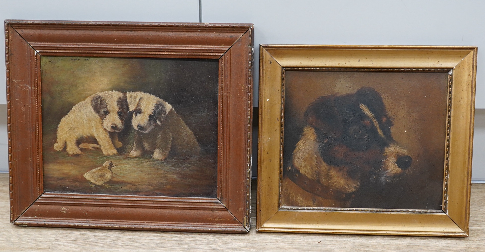 Early 20th century English School, Study of a terrier, unsigned, together with a later study of a chick before two dogs, signed Volle, largest 19 x 24cm. Condition - fair